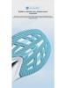 Feiying PB4.0 Men's Marathon Racing Shoes with Carbon Plate and Shock Absorption