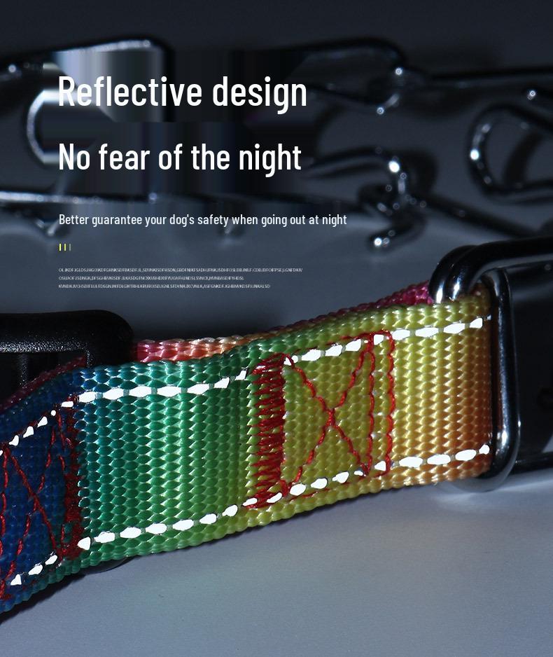 Avtagbar Metallhundträningshalsband med Järnspänne