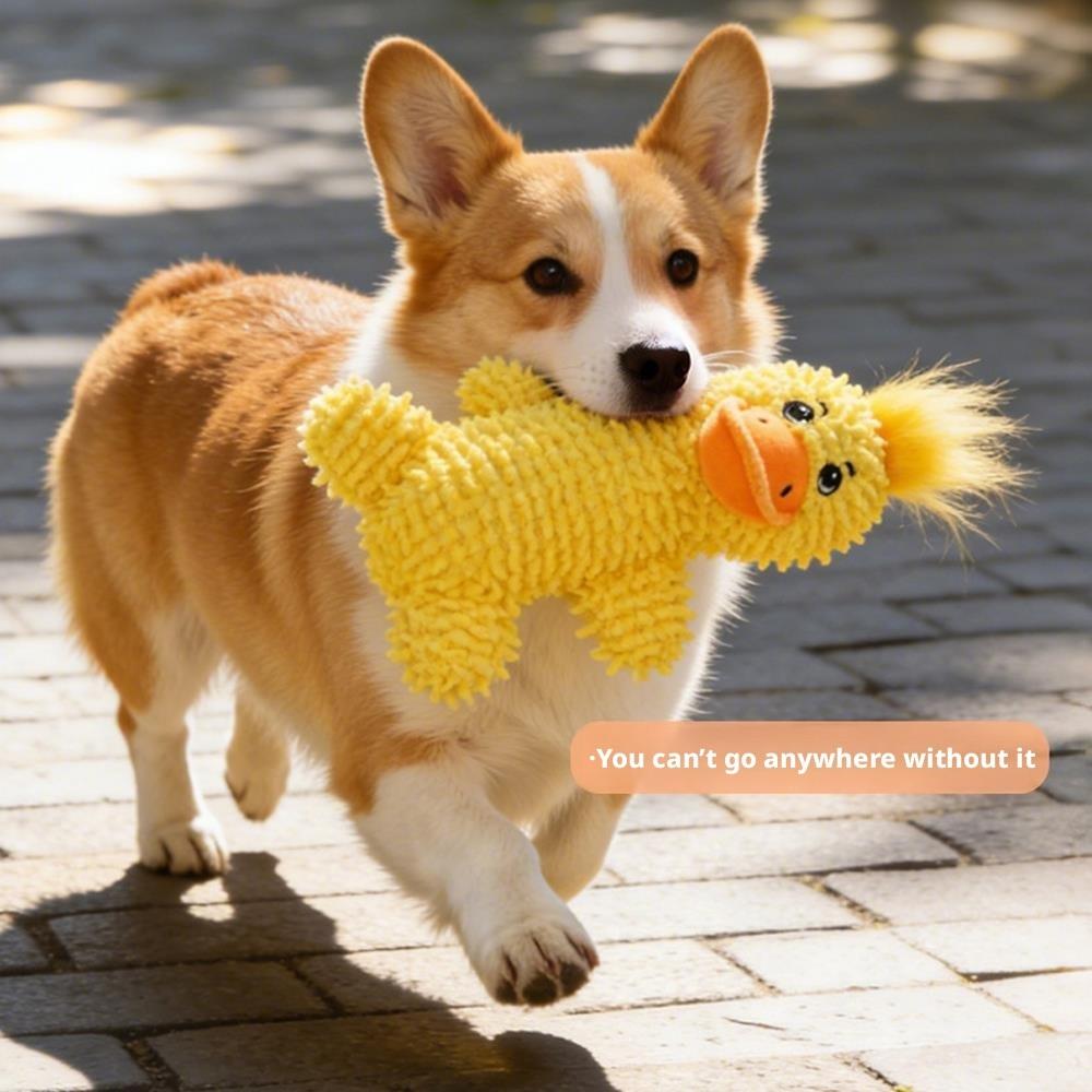 Squeaky Dog Chew Toys Bear Plush Dog Toys To Keep Them Busy, Built-in a Squeaker for Small Animals Pet Dogs Puppy Teething