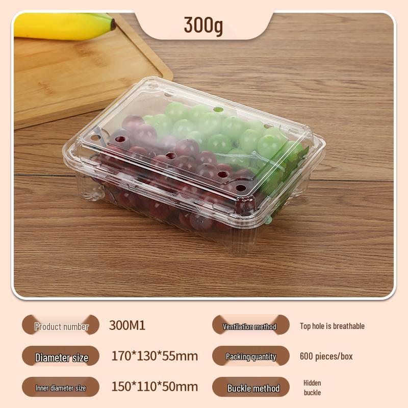 Portable Disposable Transparent Plastic Rectangular Fruit Packaging Box with Lid