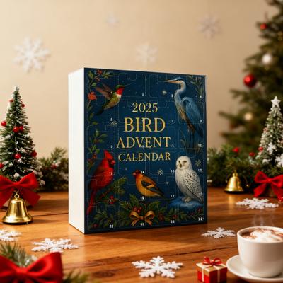 2025 Bird Advent Calendar 24 Days Countdown Box Realistic Bird Ornaments Christmas Tree Holiday Gift for Bird Lovers