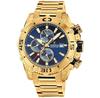 Festina 20492/2 Watch