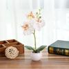 1Pc Potted Artificial Butterfly Orchid Flower Stage Garden Wedding Party Decor Christmas Ornament