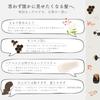 Moist Treatment 500g Floral Highly Intensive Repair Penetrating Silica Damage Hair Care [honeyglossy] Honey, Silica, Jasmine, Scent, Repairing,