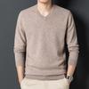 Elettant Men's 100% Wool V-Neck Sweater