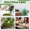 10PCS Simulation Moss Stone Fake Green Plant for Home Garden Flower Pot DIY Micro Landscape Decors Artificial Green Moss Balls
