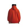 Under Armour FW25 Hooded Pullover Long Sleeve Sweatshirt Men Sweatshirt 6003867-842