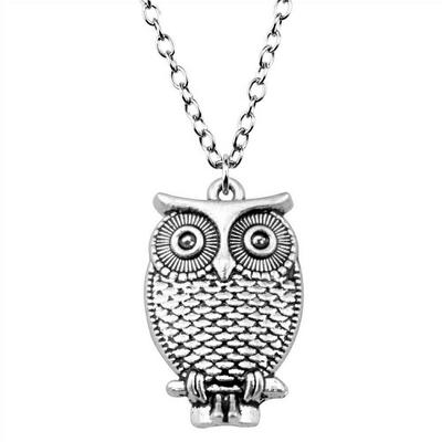 Necklace On The Neck 43cm Chain Owl Eagle Kids' Jewelry Materials QN055
