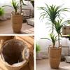 Straw Woven Basket Vase Dried Flowers Wicker Flower Pot for Living Room Flower Arrangements M
