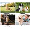Pet Glove Wipes for Dogs & Cats Hypoallergenic, Aloe & Jojoba Oil Infused, Cleansing & Deodorizing, 6 Pack