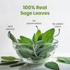 BLUE TEA - Sage Tea Sun Dried Leaves - 50 gm - 50 Cups | ANTI-INFLAMMATORY | Detox Tea - Anti-Oxidant Rich - Rich In Vitamin A & C - Gluten Free -