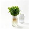 2/4pcs Plastic Jar Sprouting Lids Drain Hole Deep Tray  Microgreens Sprouting Kit