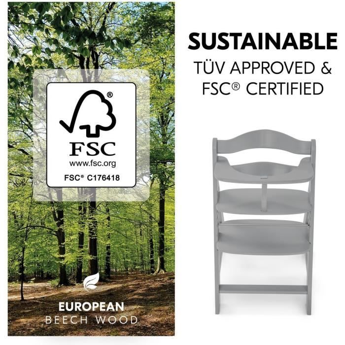 Chaise haute - HAUCK - ALPHA+B - Evolutive - De 6 mois à 90 kg - Bois FSC - Harnais 5 points - Gris