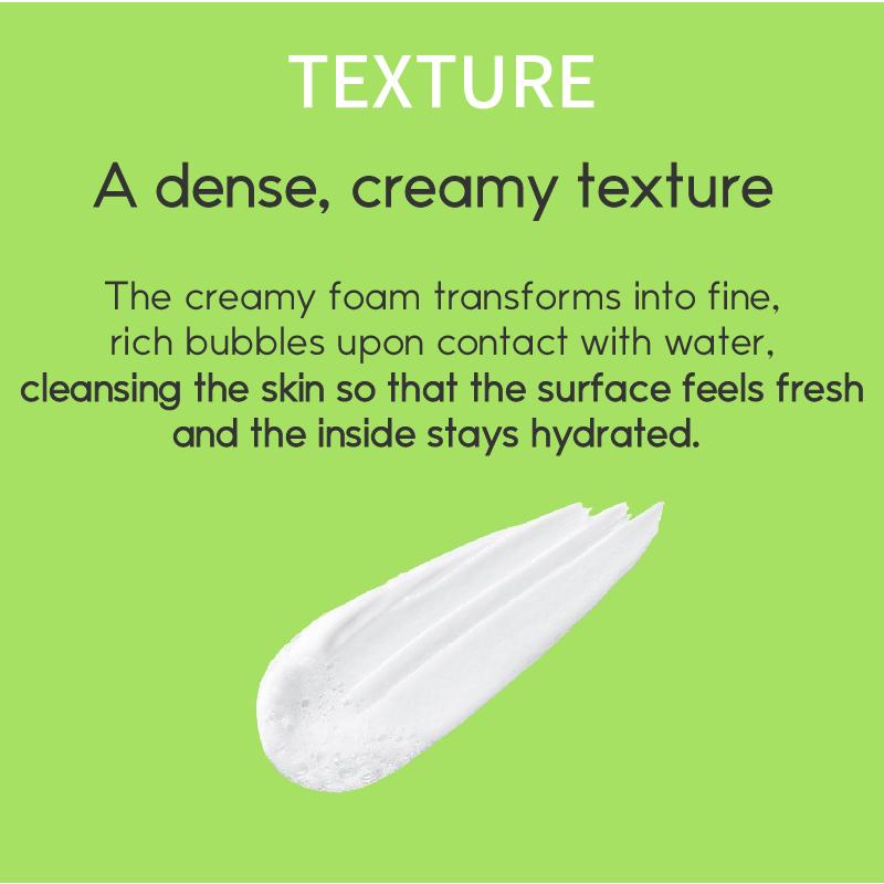 [ ideal for men ] perfect cleansing all in one foam 150ml