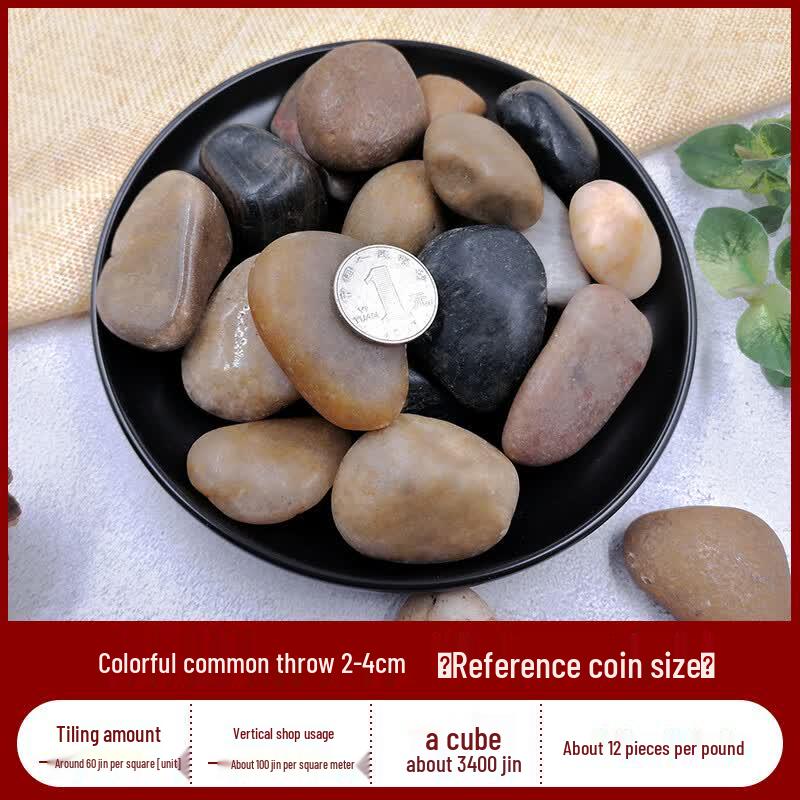 Bangwo Natural Polished Colorful Pebbles