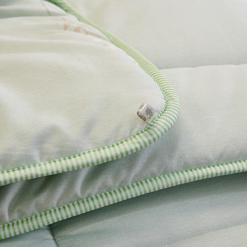 Gemütliche Winter-Polyesterfaser-Steppdecke