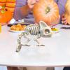 Skeleton Chameleon Decor Chameleon Craft Skeleton Decor Creative Chameleon Bone Figurine Tabletop Chameleon Skeleton Statue For
