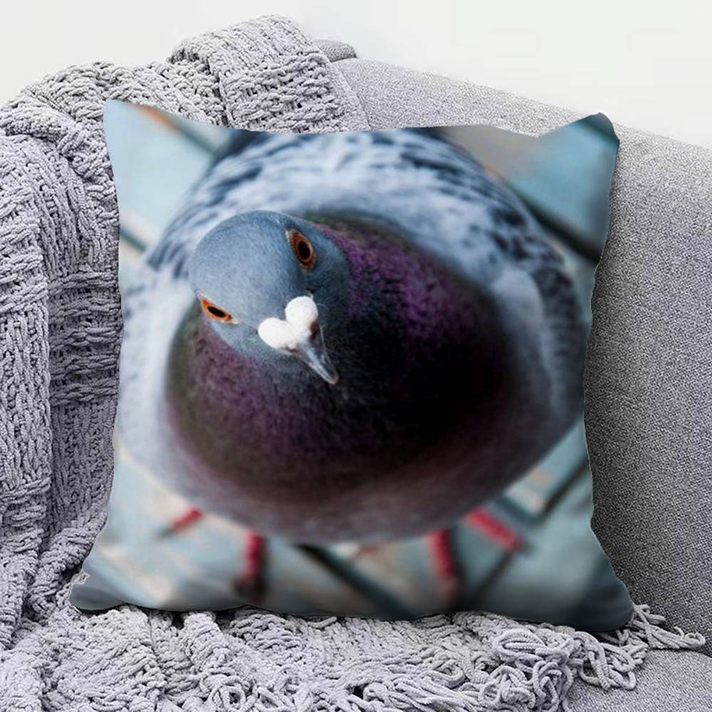 pigeon FFunny MEME  Home Sofa Cushion Covers and Aecorative Custom Pillow Covers