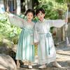 Children's Bamboo Rabbit Hanfu Princess Dress - Autumn Tang Suit Costume