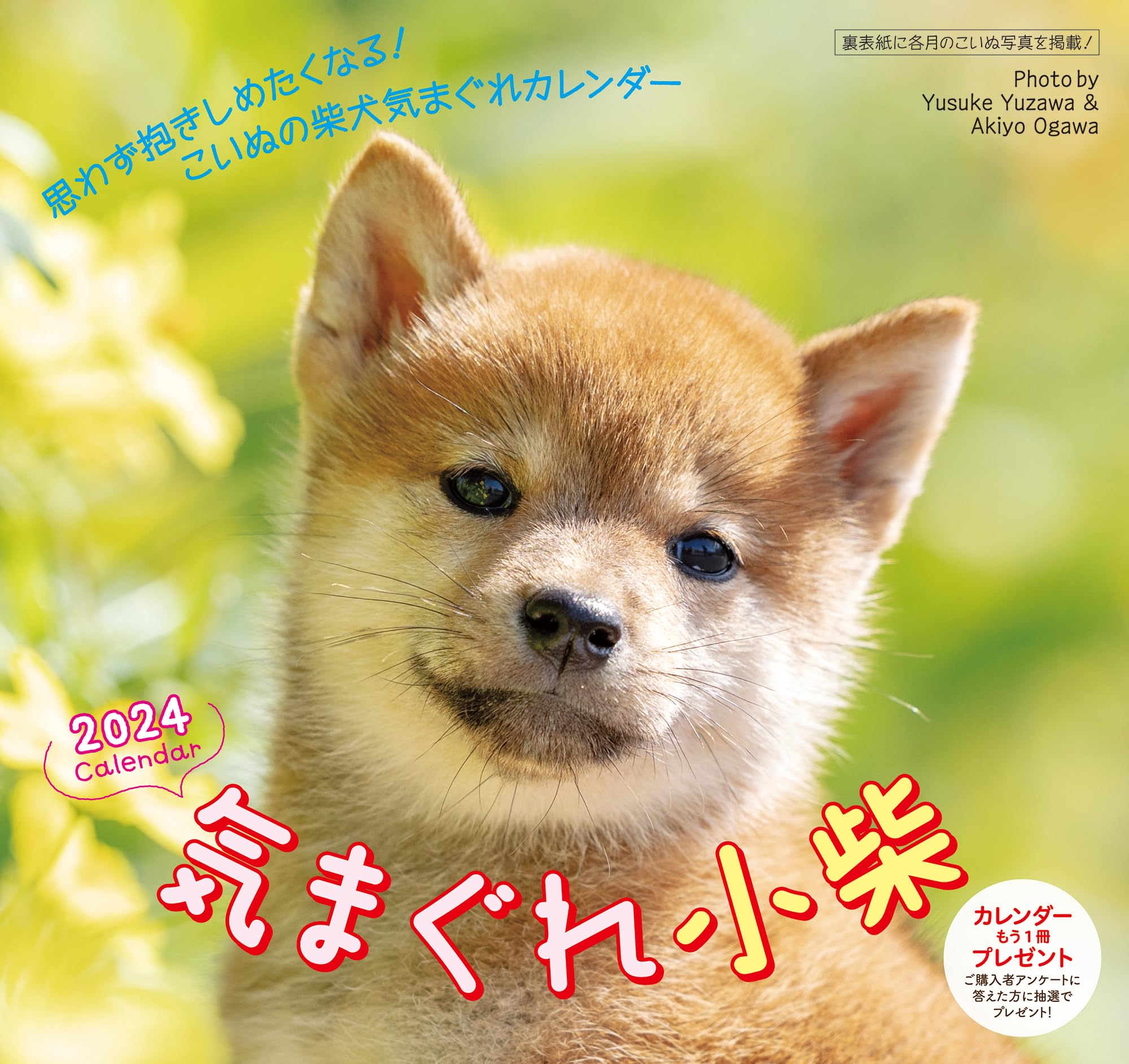 

2024 Calendar Shiba Inu Whimsical Koshiba Inu Display (Wall Hanging/Monthly) 6-Week белый