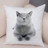 1PC 45x45cm Cute Cat Pillowcase for Home Sofa Children Room Decor Lovely Pet Animal Print Cojines Cushion Cover Pillow Case