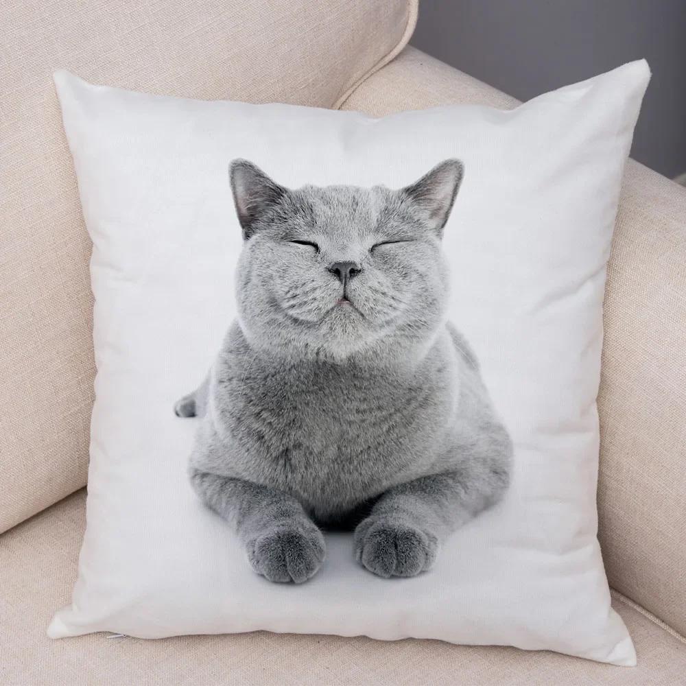 1PC 45x45cm Cute Cat Pillowcase for Home Sofa Children Room Decor Lovely Pet Animal Print Cojines Cushion Cover Pillow Case