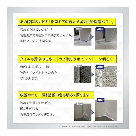 [New Nanotech Material X Powerful Mold Removal] Mold Removal Lab Mold Remover 450g Multi-cleaner Mold Mold Prevention Mold Resistant Bath Cleaning