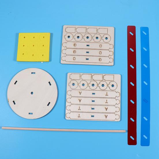 1 set Interesant Stimulează imaginația Îmbunătățește concentrarea Structură inovatoare cu dublu helix Modele ADN Jucării pentru copii Echipament de experiment