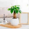 Self Watering Flowerpot with Transparent Bottle And Water Level View Self-Absorbing Cotton Rope Planter Double-Layer Flower Pot for Indoor Plants And