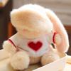 Soft Big Ear Bunny Plush Doll Long Ear Rabbit Plush Toy Stuffed Animals Rabbit Toy  Kids Gifts