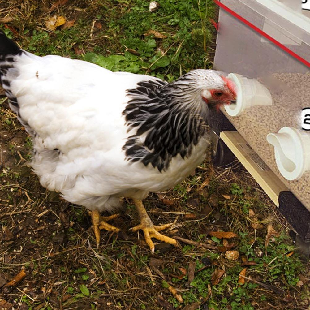 Chicken Feeder DIY Feed Port 3 Ports Hole Saw for Barrels Trash Bin Boxes Weatherproof Chicken Feeders