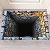 3D Visual Hole Rug Optical Illusion Floor Mat Realistic Hole Pattern Doormat Test And Play with Dog or Cat for Entrance Hallway Living Room