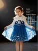 Glitzerndes leuchtendes Elsa Prinzessinnenkleid für Mädchen - Beflockter Herbst-/Winter-Halloween-Stil