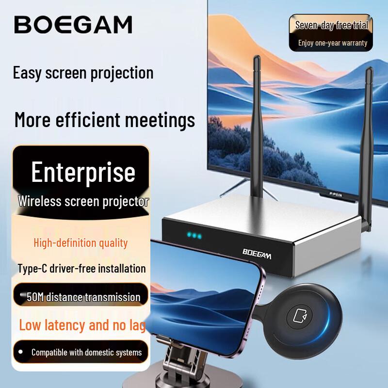 BOEGAM Wireless Screen Projector