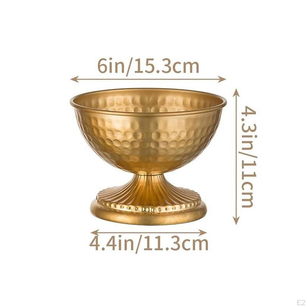 Flower Vase Container Holder Versatile Ornament Elegant Dried Arrangement Plant Pot for Shelf