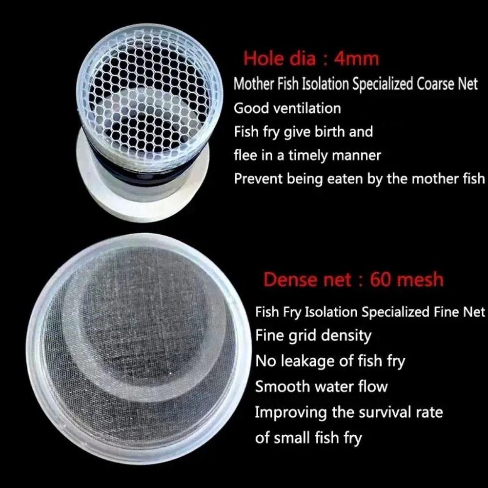 Colorful Floating Hatching Box Detachable Aquarium Breeder Feeder  Home