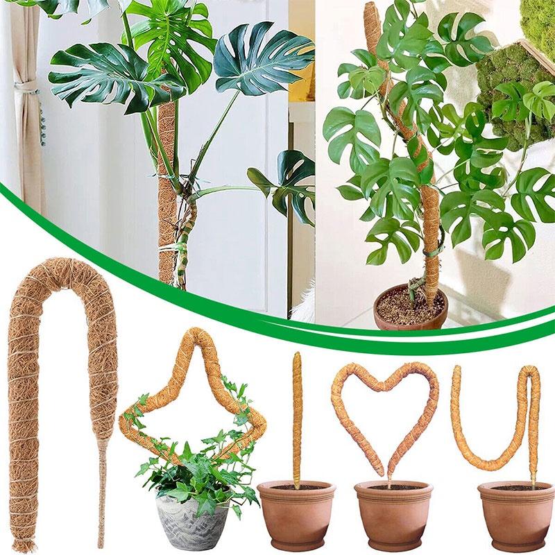 Diy Coconut Shell Plant Climbing Pole For Creative Plant Decor 60-120cm Length