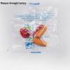 Soundproof Disposable Earplugs | Individually Wrapped for Sleeping & Workshops