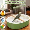 Zirkulierendes Wasser Papageien Dusche Komfort Vogelbad Dusche Vogel Wasser Sprüher Spielzeit Vögel