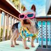 Fashion Dog Eyewear Adjustable Cat Glasses Comfortable To Wear Pet Eye Wear Protection  Puppy