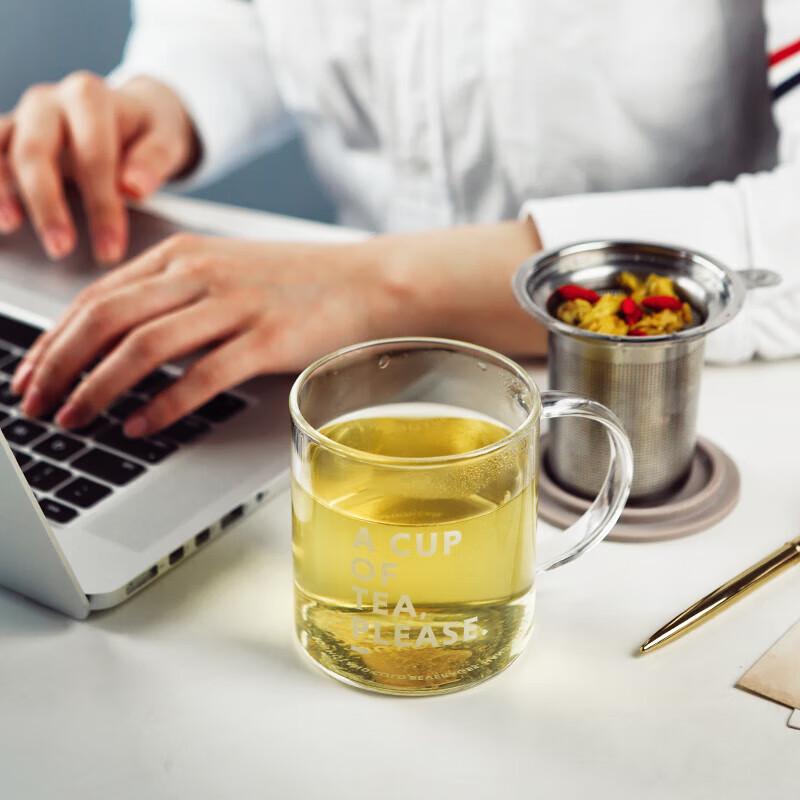 Beiding High Borosilicate Glass Tea Infuser Mug 350ml