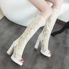 Women's High-heeled Cool Boots, Sexy European and American Style Waterproof Platform Thick Heel Large Size Fish Mouth Medium Tube Net Boots