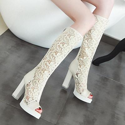 Bottes cool à talons hauts pour femmes, style européen et américain sexy, plateforme imperméable, talon épais, grande taille, bout poisson, tube moyen, bottes en résille