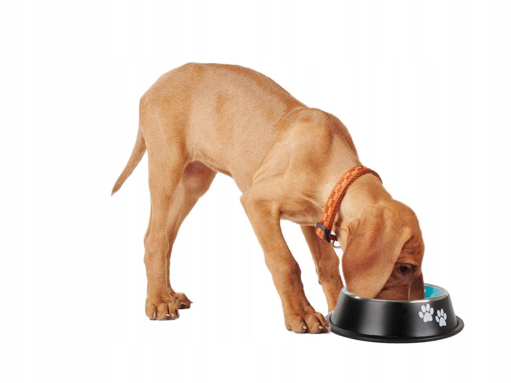 Dog Bowl Two Paws 30 (100) Gab_A