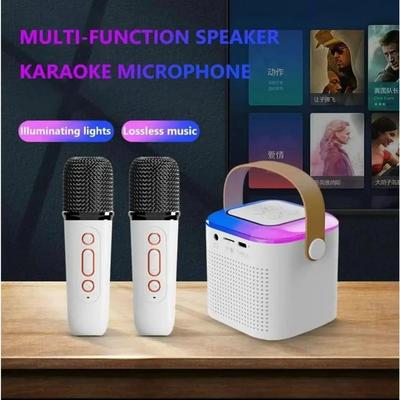 Y1 Kabellose Dual-Mikrofone Karaoke-Maschine KTV DSP-System Bluetooth 5.3 PA-Lautsprecher HIFI Stereo Surround RGB Buntes LED-Licht