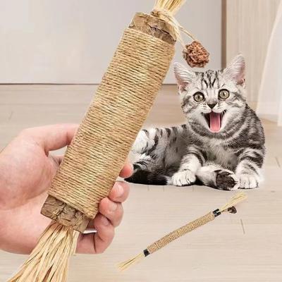 Kedi