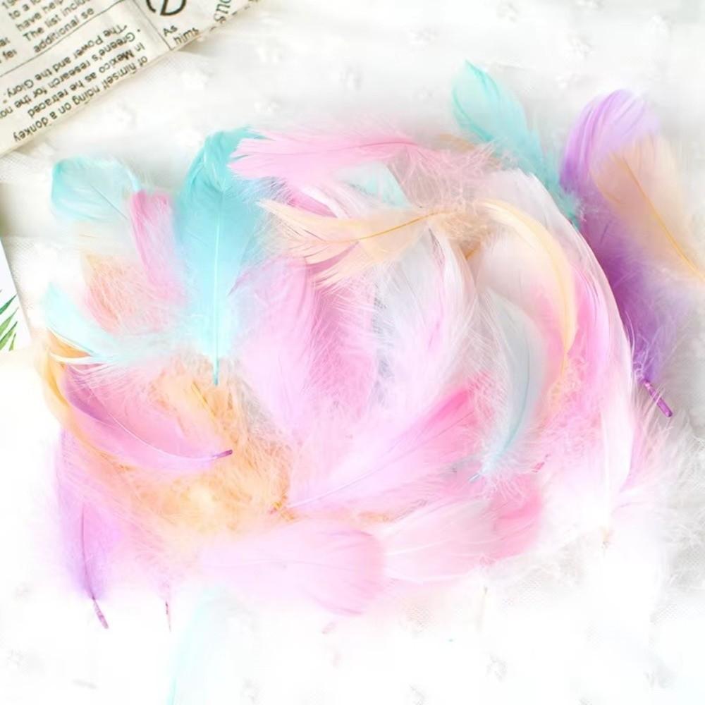 50PCS Colorful Natural Goose Feathers Natural Feather Colored Feathers  DIY Home Crafts