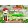 Baidyanath Asli Ayurved Neem And Nutgrass Shampoo 450 ML Pack Of 1 For Soft, Shiny, Nourished Hair
