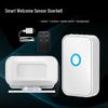 Welcome To the Sensor Entry Shop: Voice Prompt Greeter and Charging Split Doorbell Device.