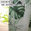 Shop Green Jungle Blackout Cafe Curtains for Small 95cm Wide X 70cm Long [Cloth Nunoya] Windows, (1 Panel)